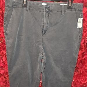 GAP NWT Women's Slate Gray Girlfriend Chinos Size 14